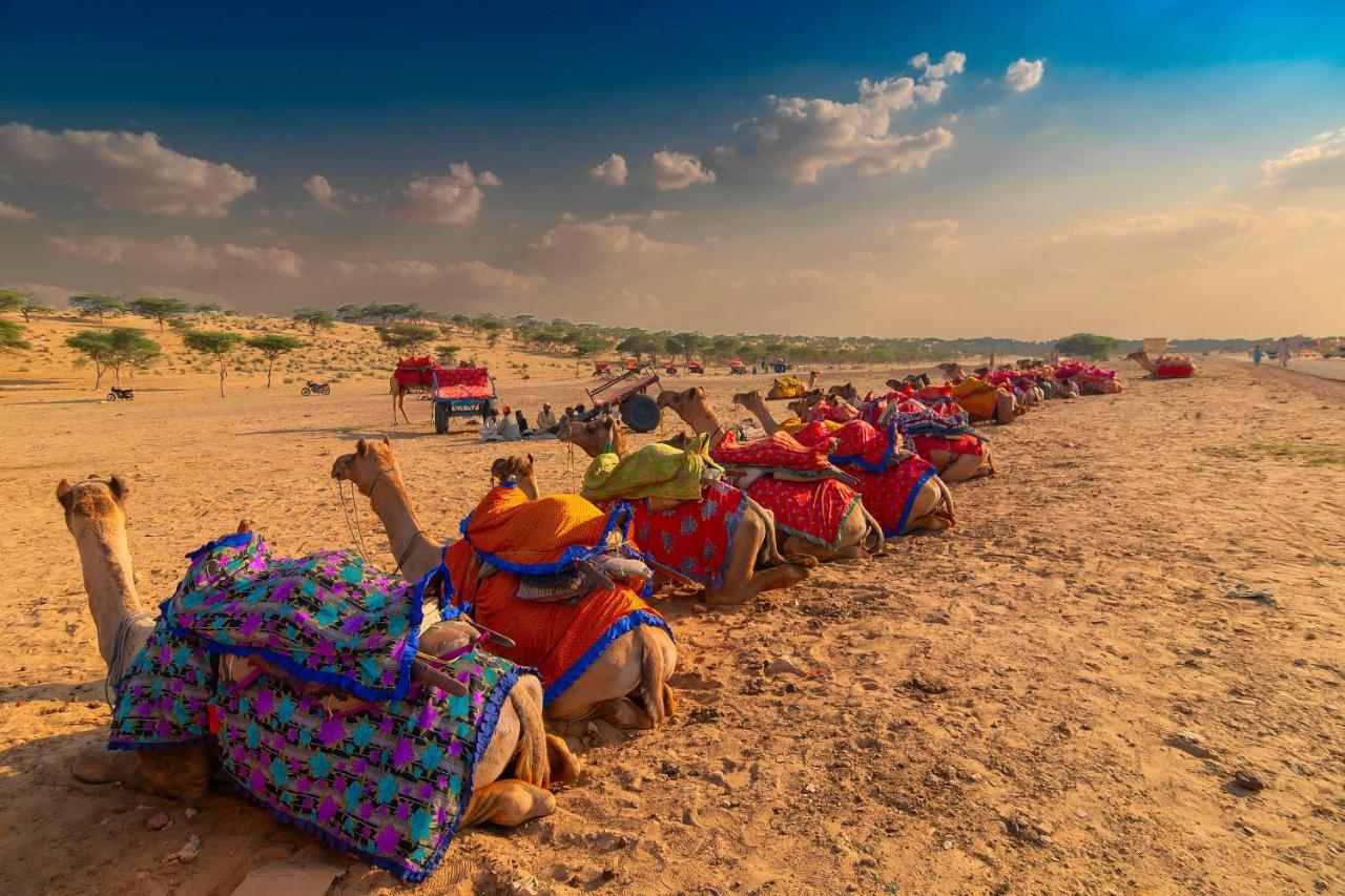 Hotel Galaxy Inn Pushkar Dış mekan fotoğraf