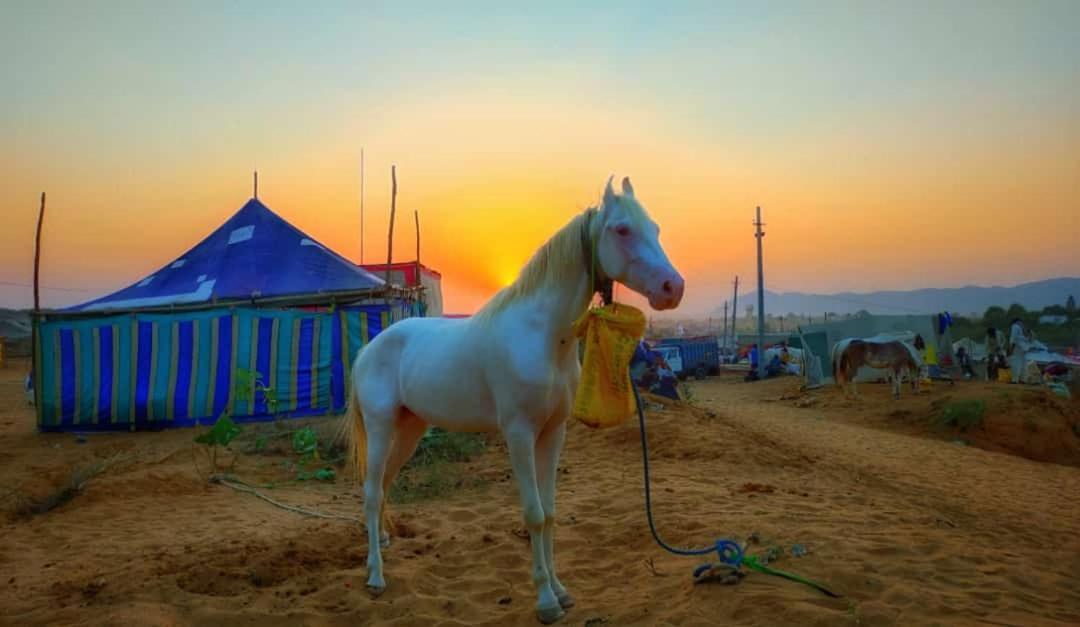 Hotel Galaxy Inn Pushkar Dış mekan fotoğraf